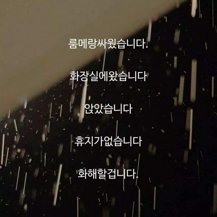 룸메랑 화해해야하는 이유 | 인스티즈