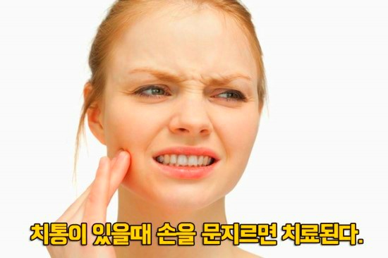 신비코 이미지