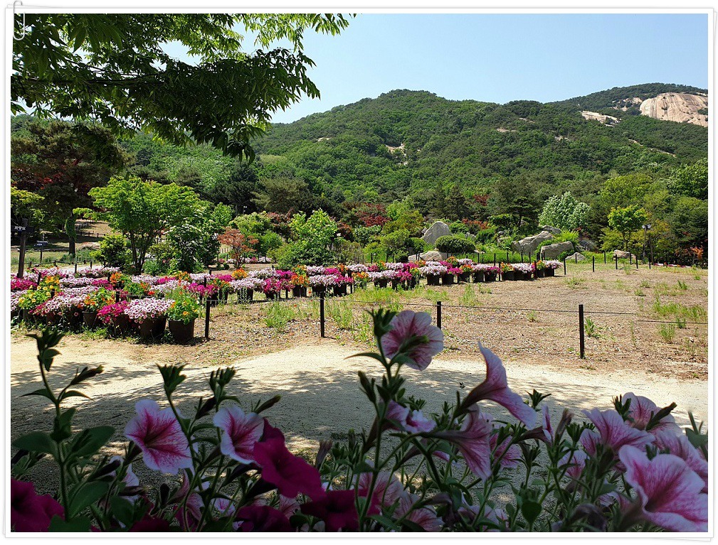산들수목원 이미지