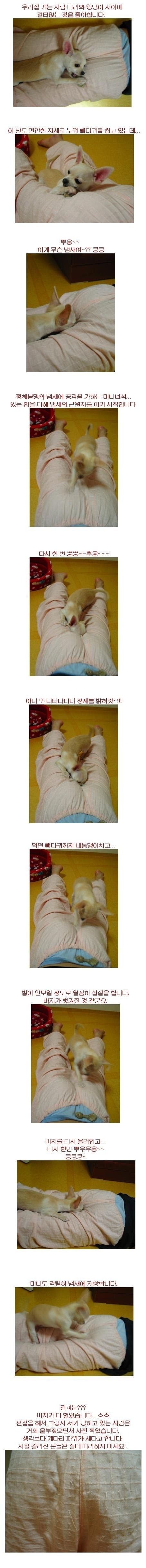 이거슨... 방귀 고문?! - ☆닥취| 자유쉼터 - 닥치고 취업(닥취)☆(TOEIC)토익900