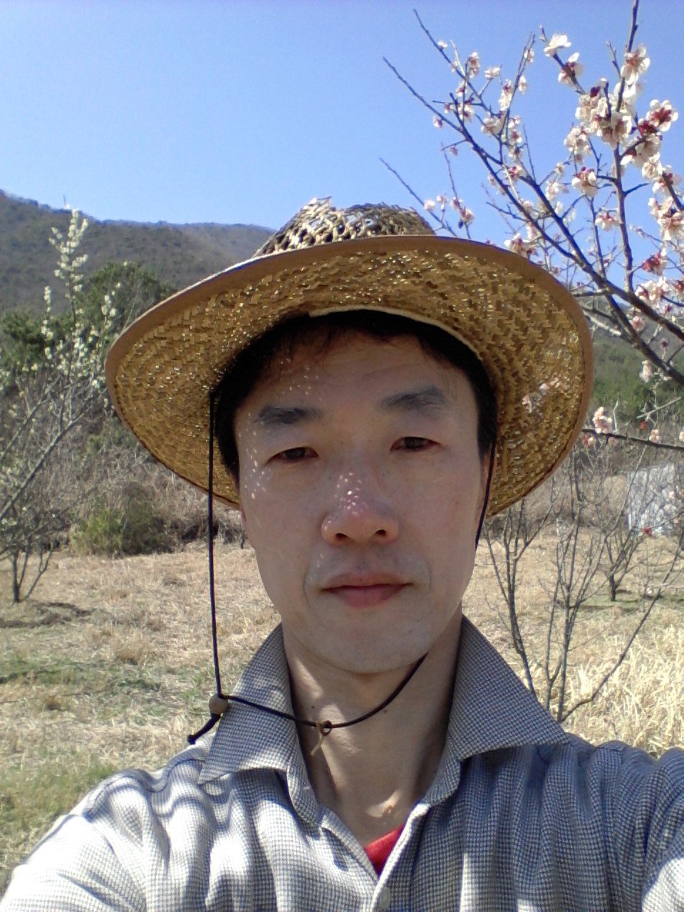 선산퇴비 이미지