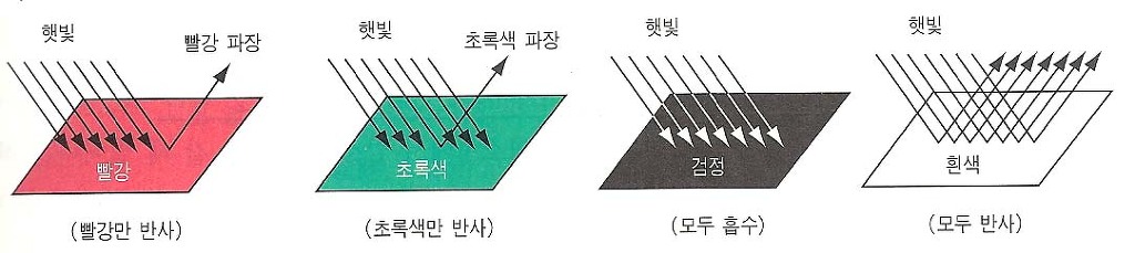 빛 흡수